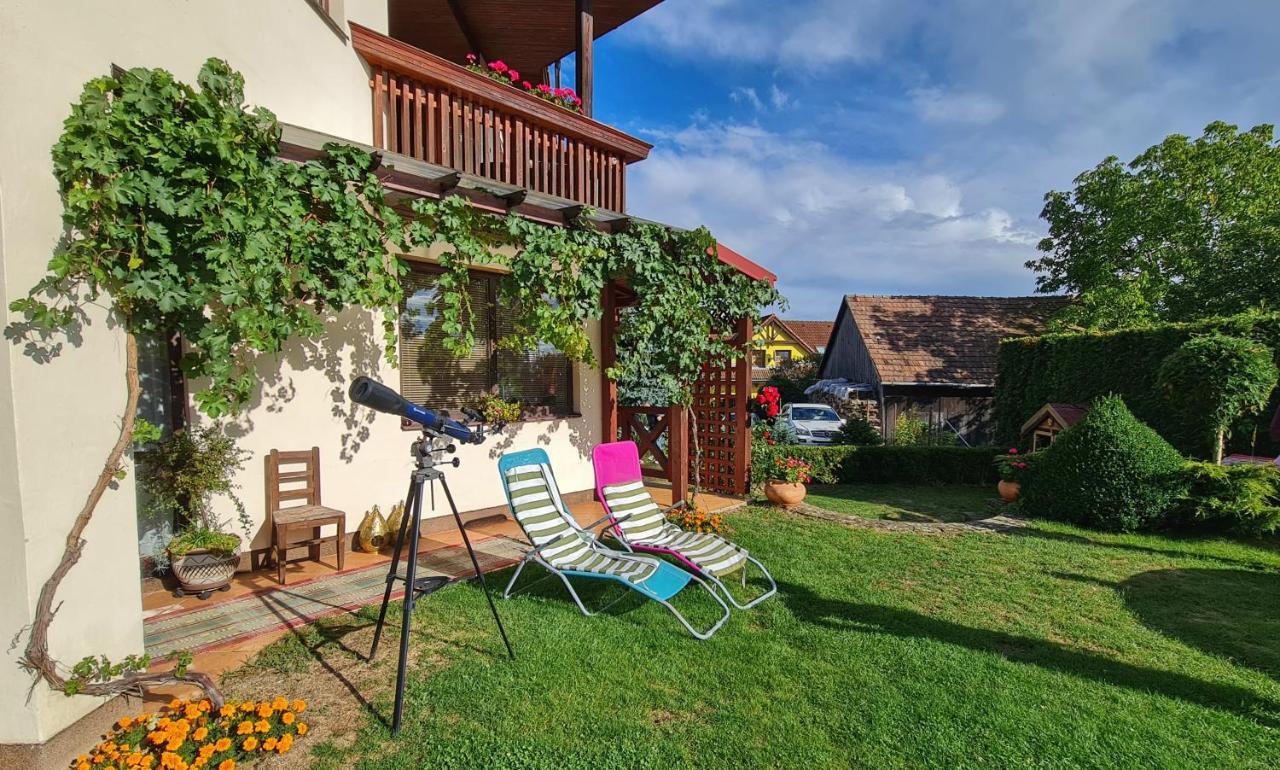 Clara Valis - Village House Dolany Exterior photo