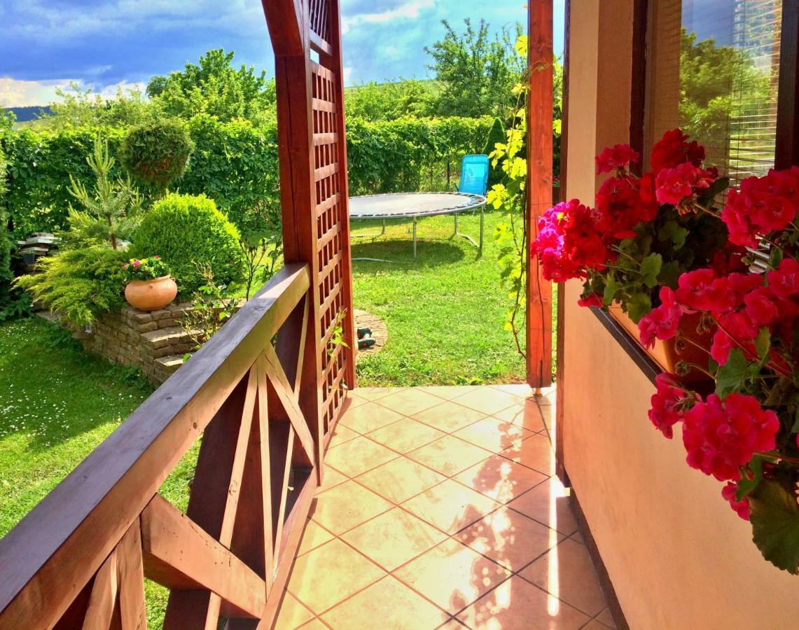 Clara Valis - Village House Dolany Exterior photo